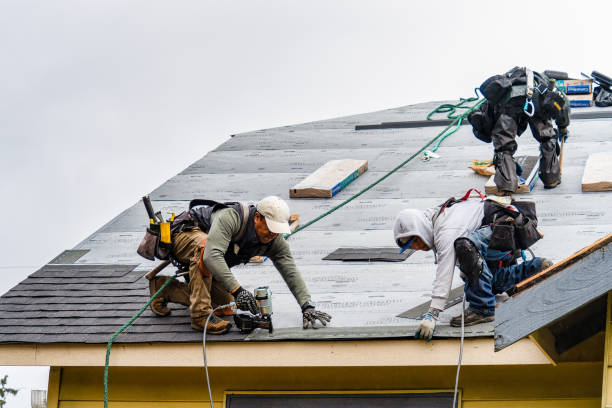 Professional Gutter Installation technician working in Prospect, PA